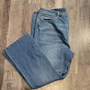 Terra & Sky 20W Jeans